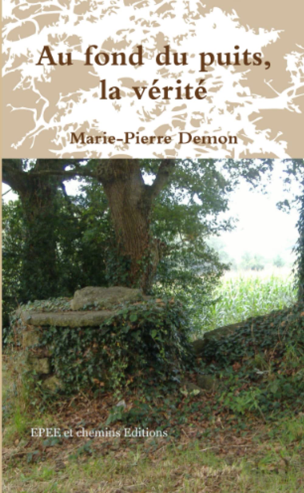 Au fond du puits, la vérité. book
