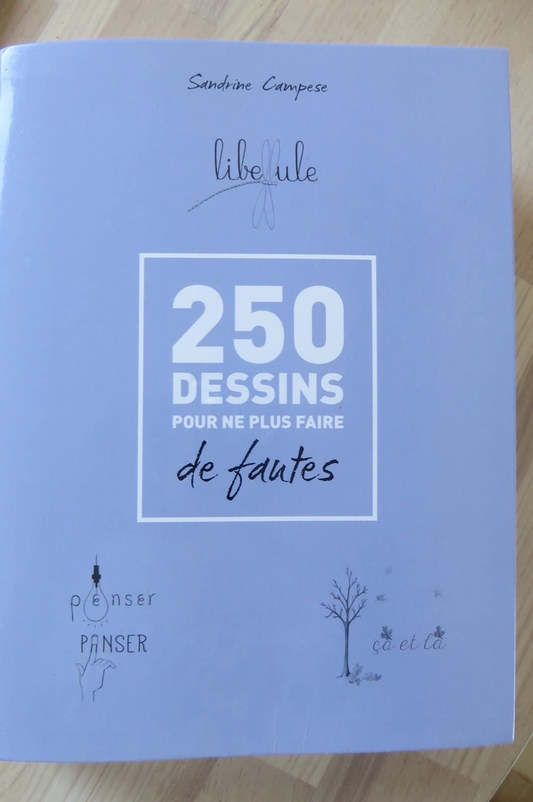 250 Dessins Pour Ne Plus Faire De Fautes book