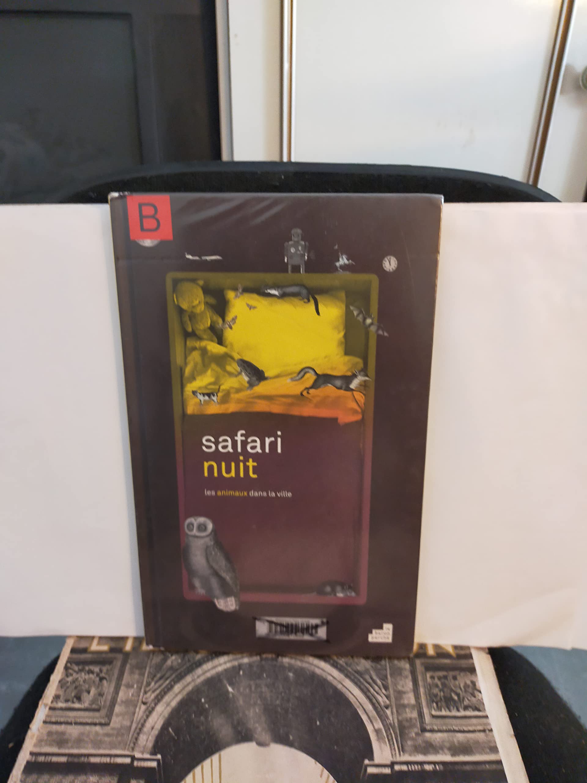 Safari nuit: Les animaux dans la ville book