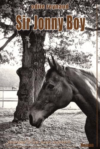 Sir Jonny Boy: Le journal d'un sans papiers book