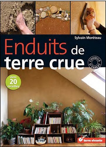 Enduits de terre crue : technique de mise en oeuvre et conseils de professionnels book