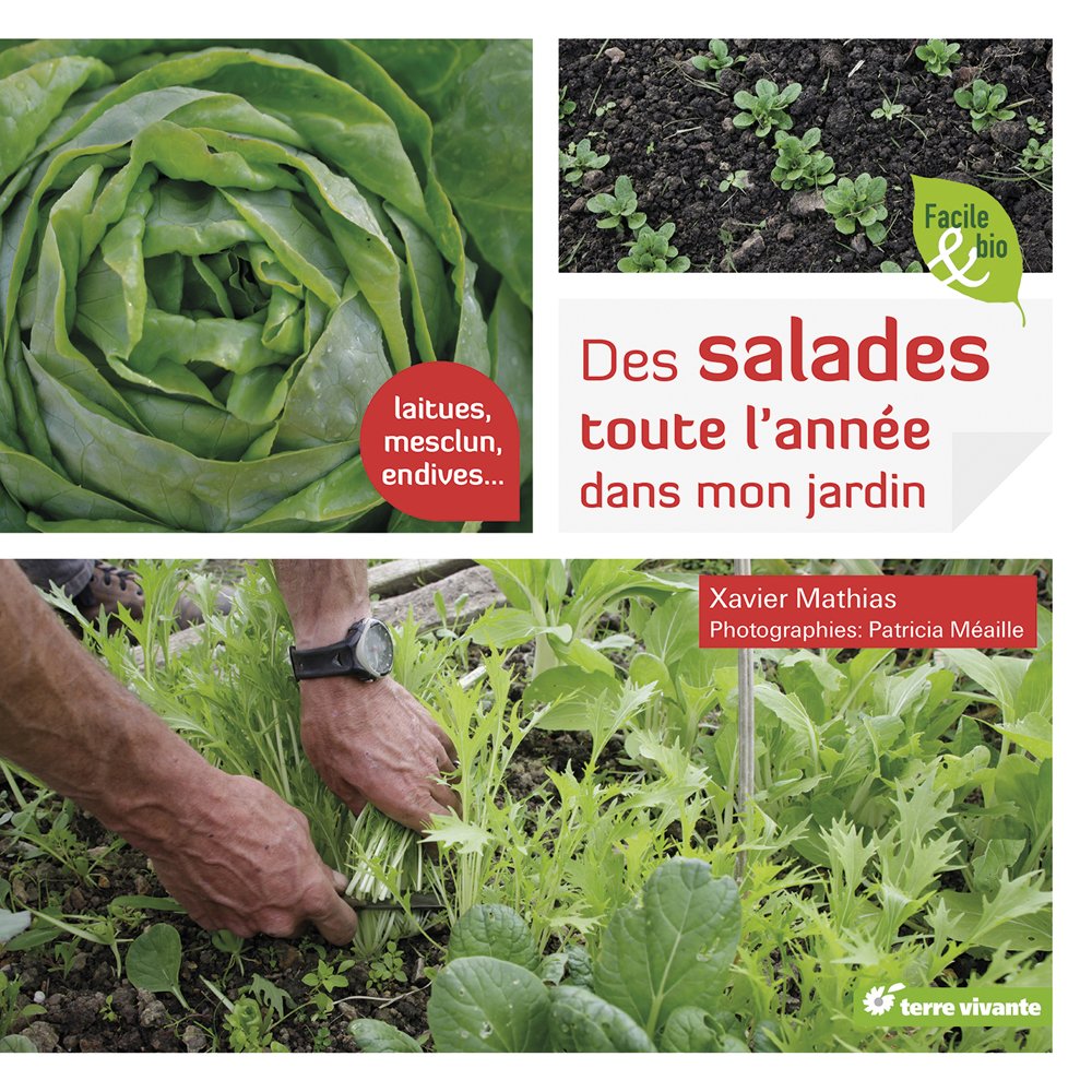 Des salades toute l'année dans mon jardin: Laitues, mesclun, endives... Garden & Plants