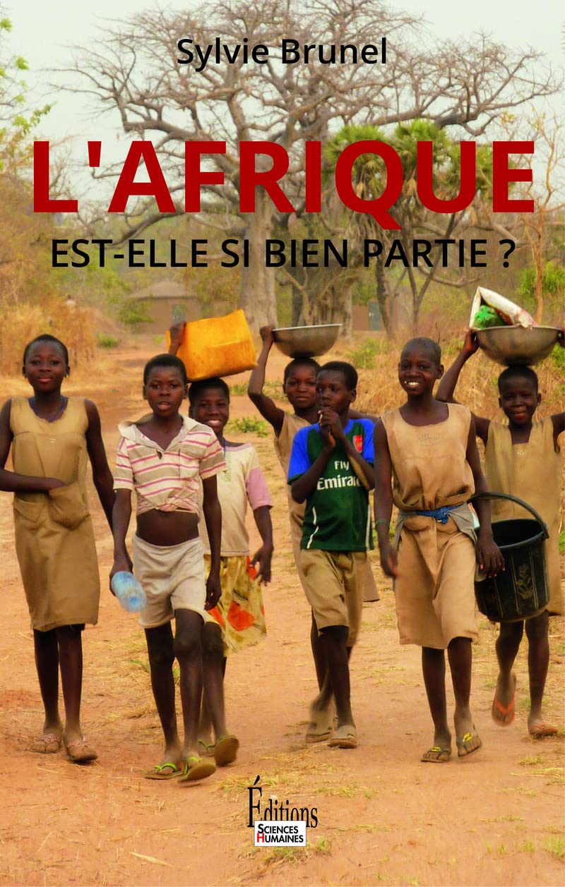 L'Afrique est-elle si bien partie ? book