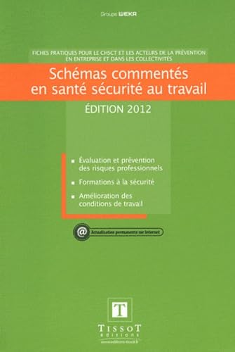 Schémas commentés en santé sécurité au travail: Fiches pratiques pour le CHSCT et les acteurs de la prévention Books