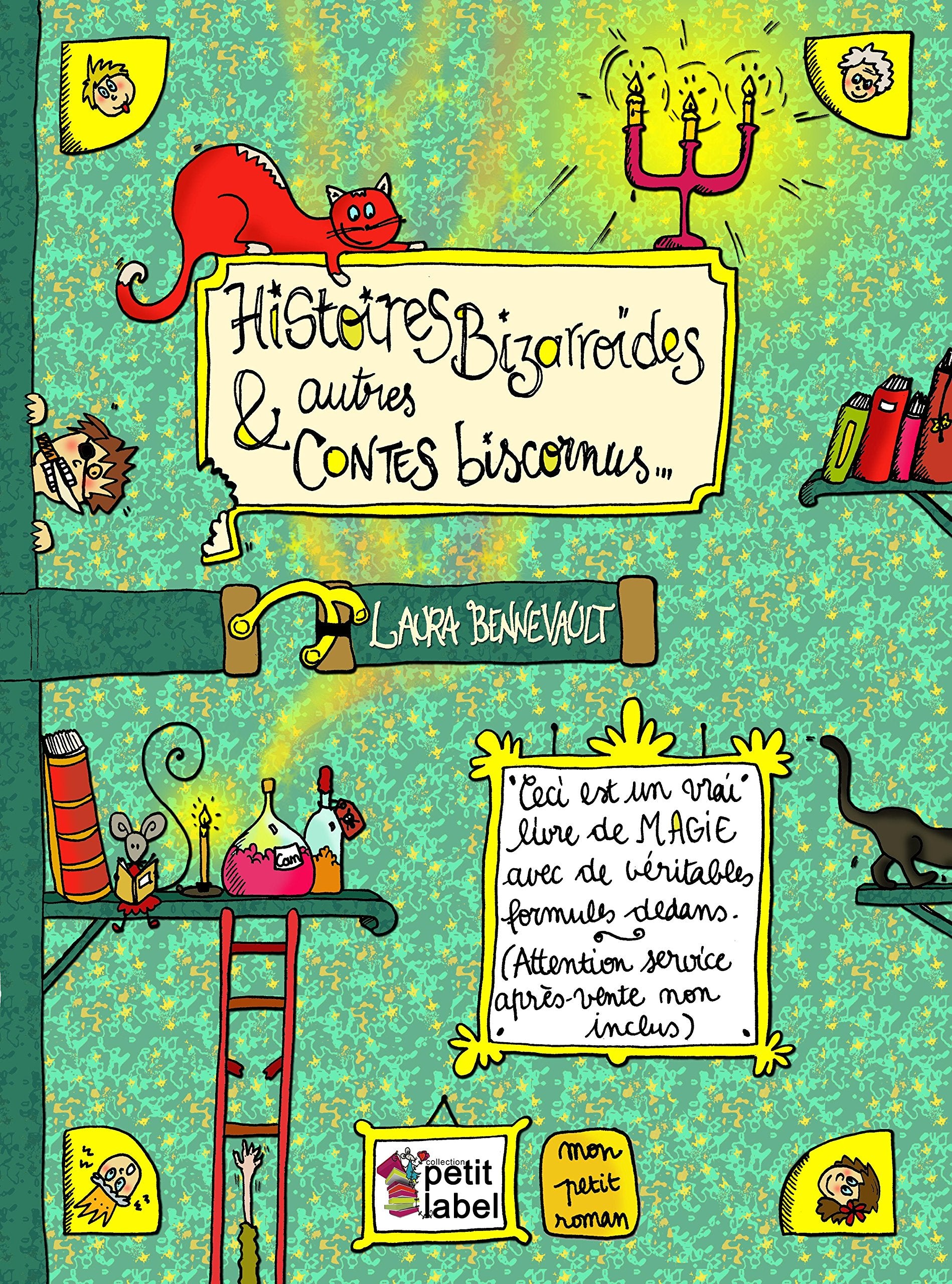 Histoires bizarroïdes et autres contes biscornus book