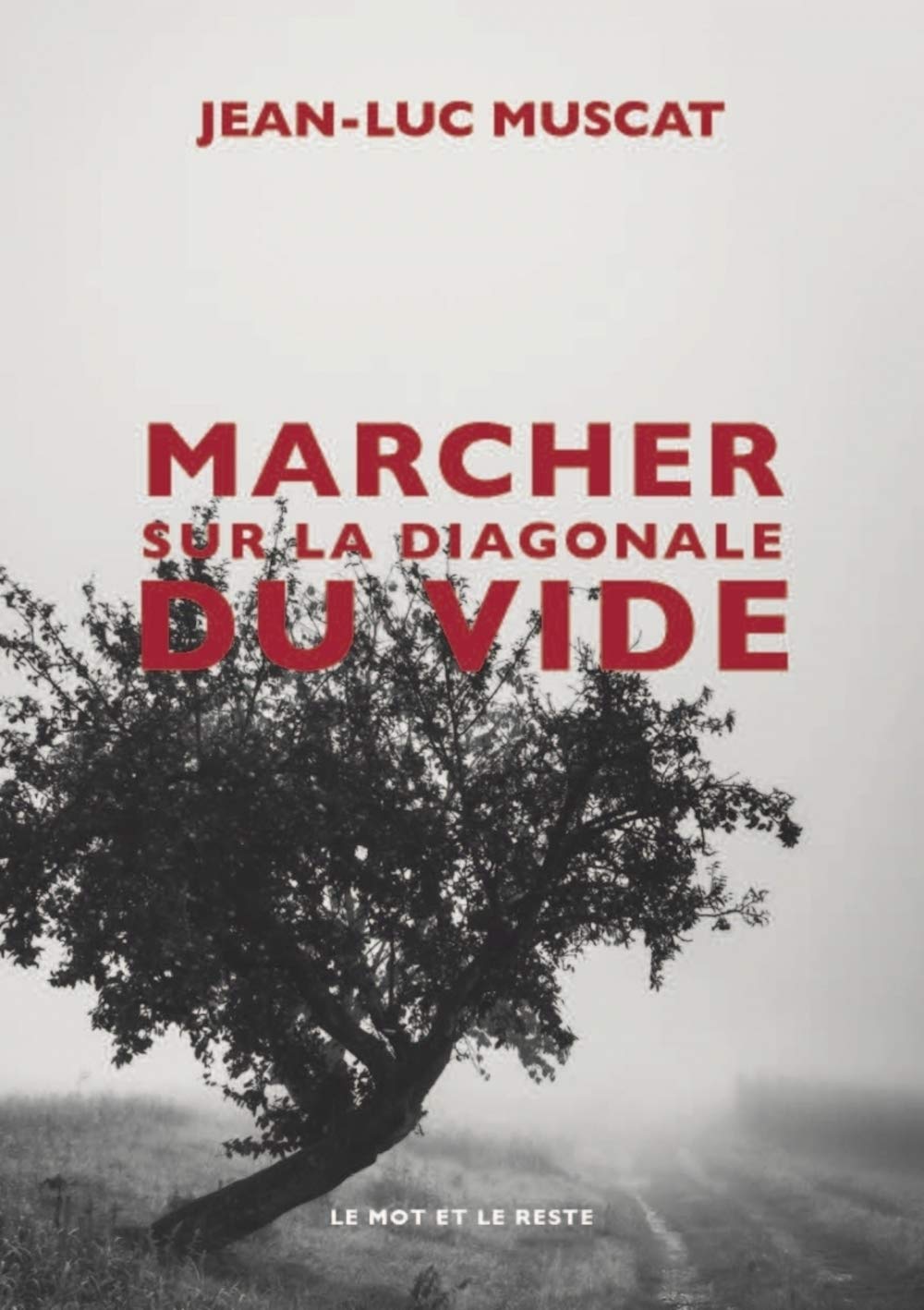 Marcher sur la diagonale du vide book