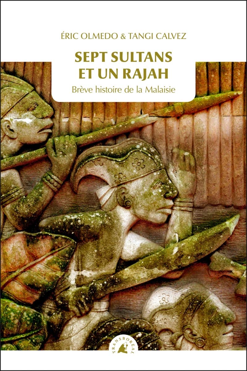 Sept sultans et un rajah: Brève histoire de la Malaisie book