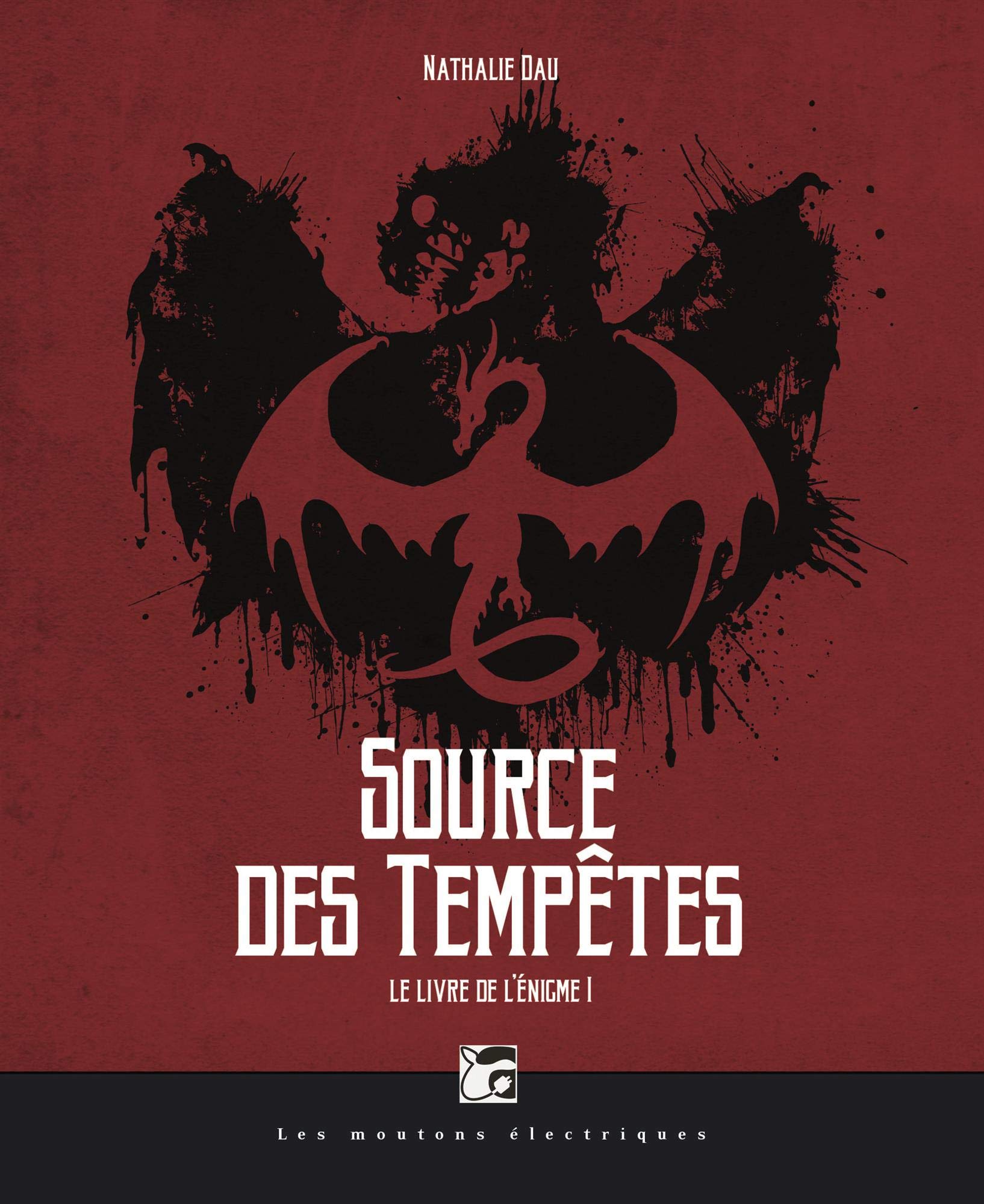 Le livre de l'énigme, tome 1: Source des tempêtes Books