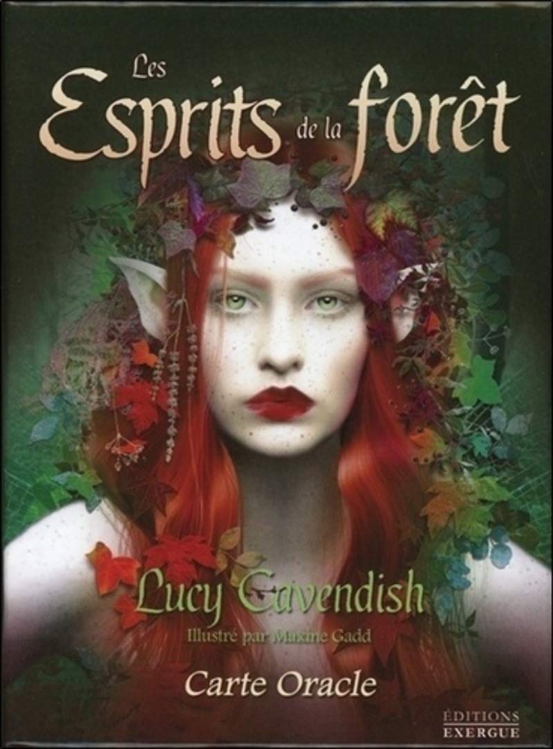 Product Image: Les Esprits de la forêt (coffret)