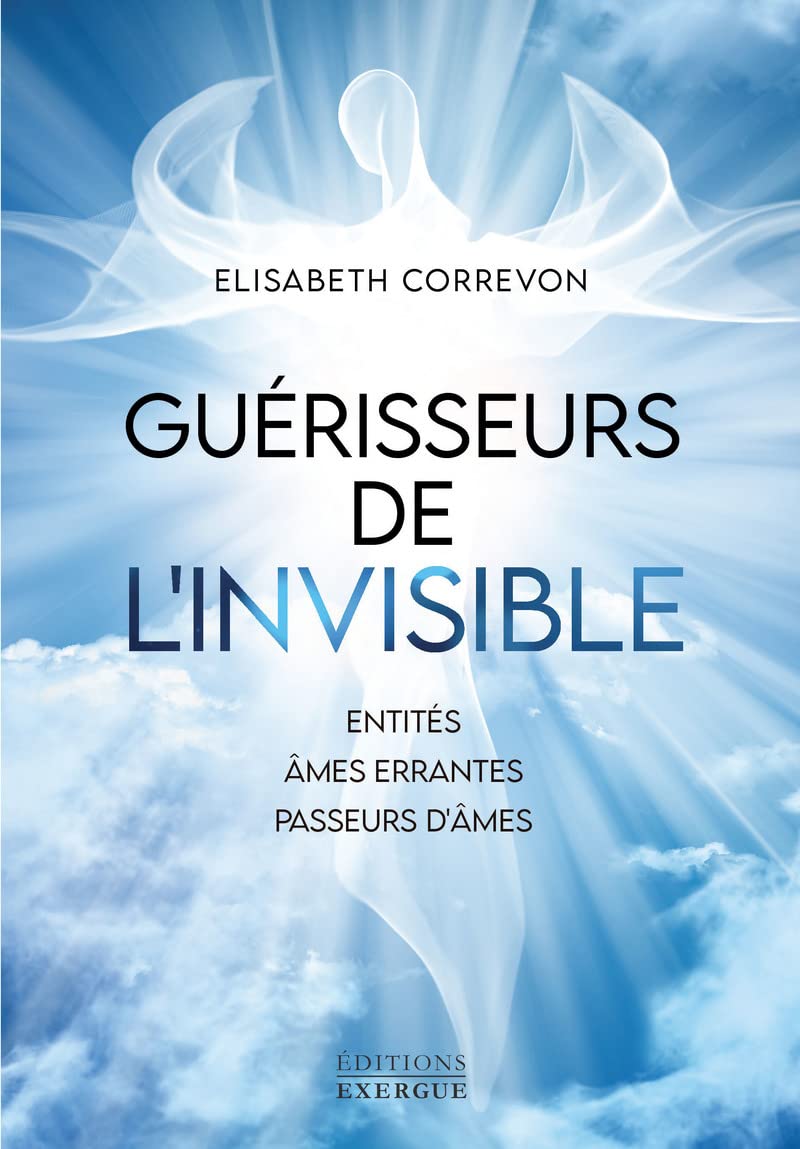 Guérisseurs de l'invisible - Entités, âmes errantes, passeurs d'âmes book