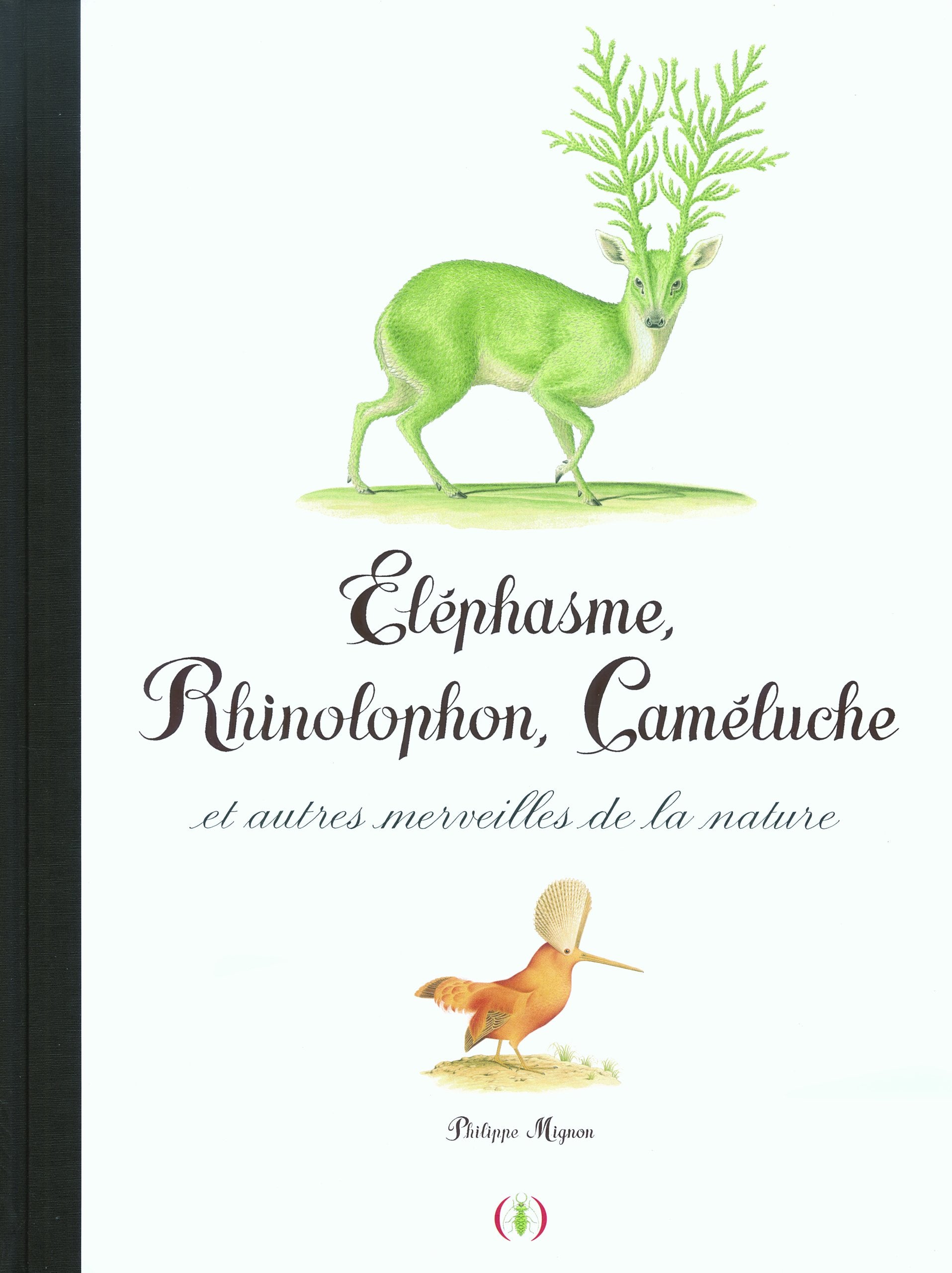 Éléphasme, Rhinolophon, Caméluche et autres merveilles de la nature Children's books