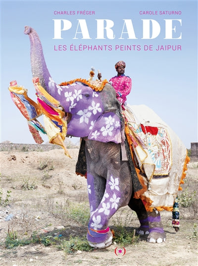 Product Image: Parade : les éléphants peints de Jaipur