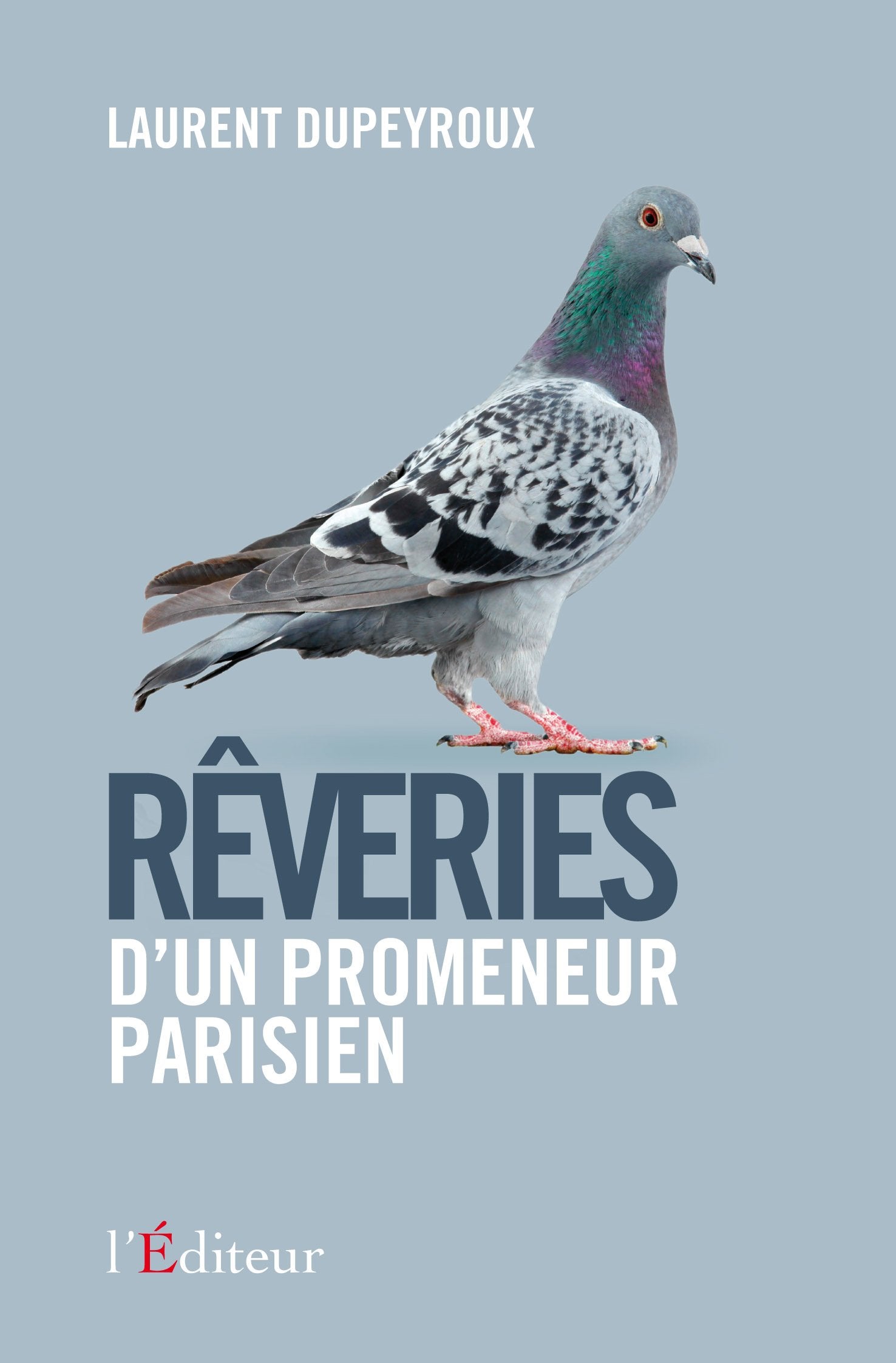 Rêveries d'un promeneur parisien book