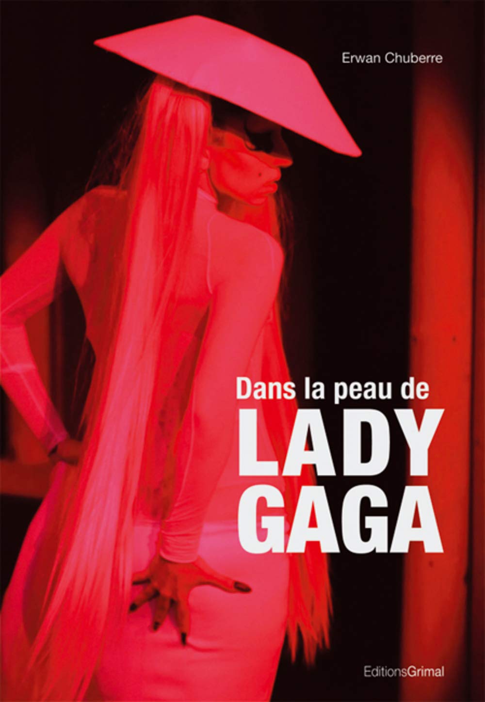 Product Image: Dans la peau de Lady Gaga