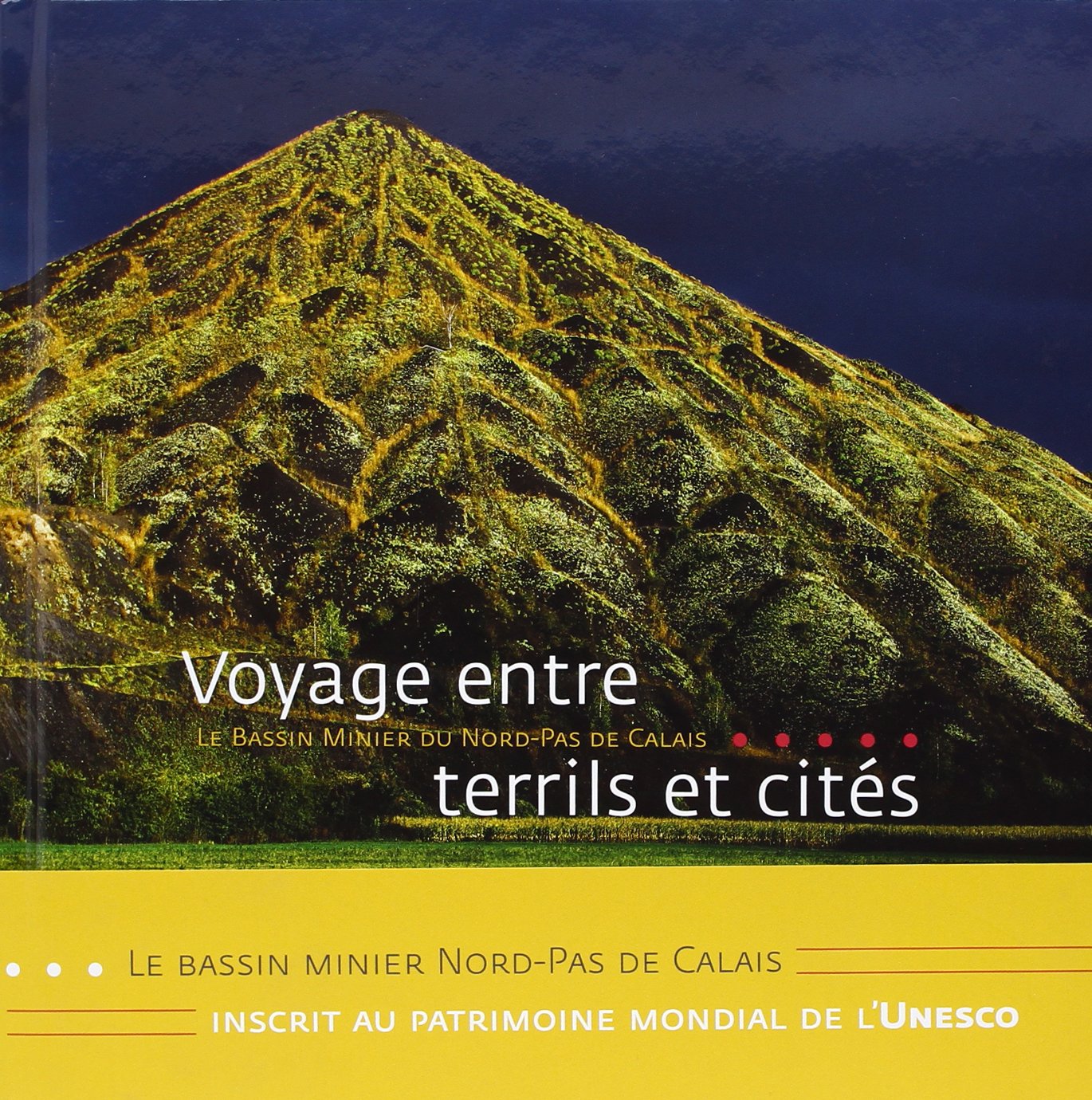 Voyage Entre Terrils Et Cites book
