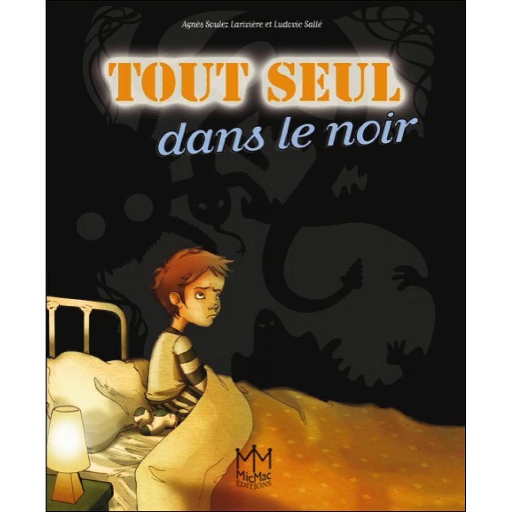 Tout seul dans le noir book