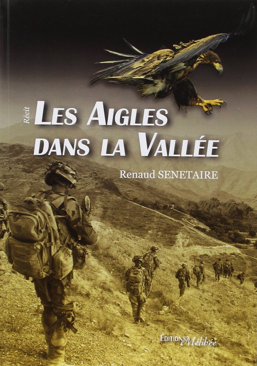 Product Image: Les aigles dans la vallée