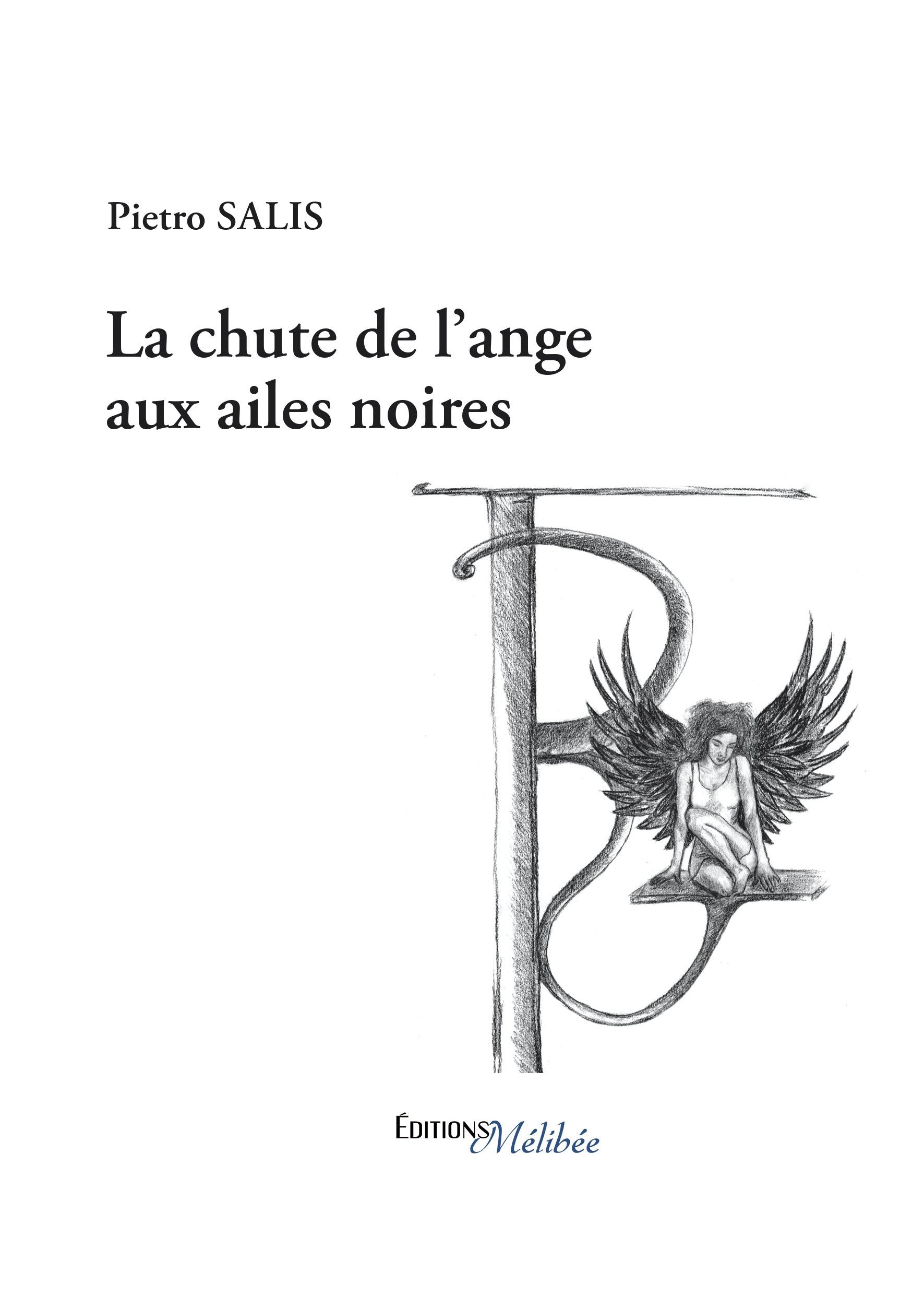 La chute de l'ange aux ailes noires book