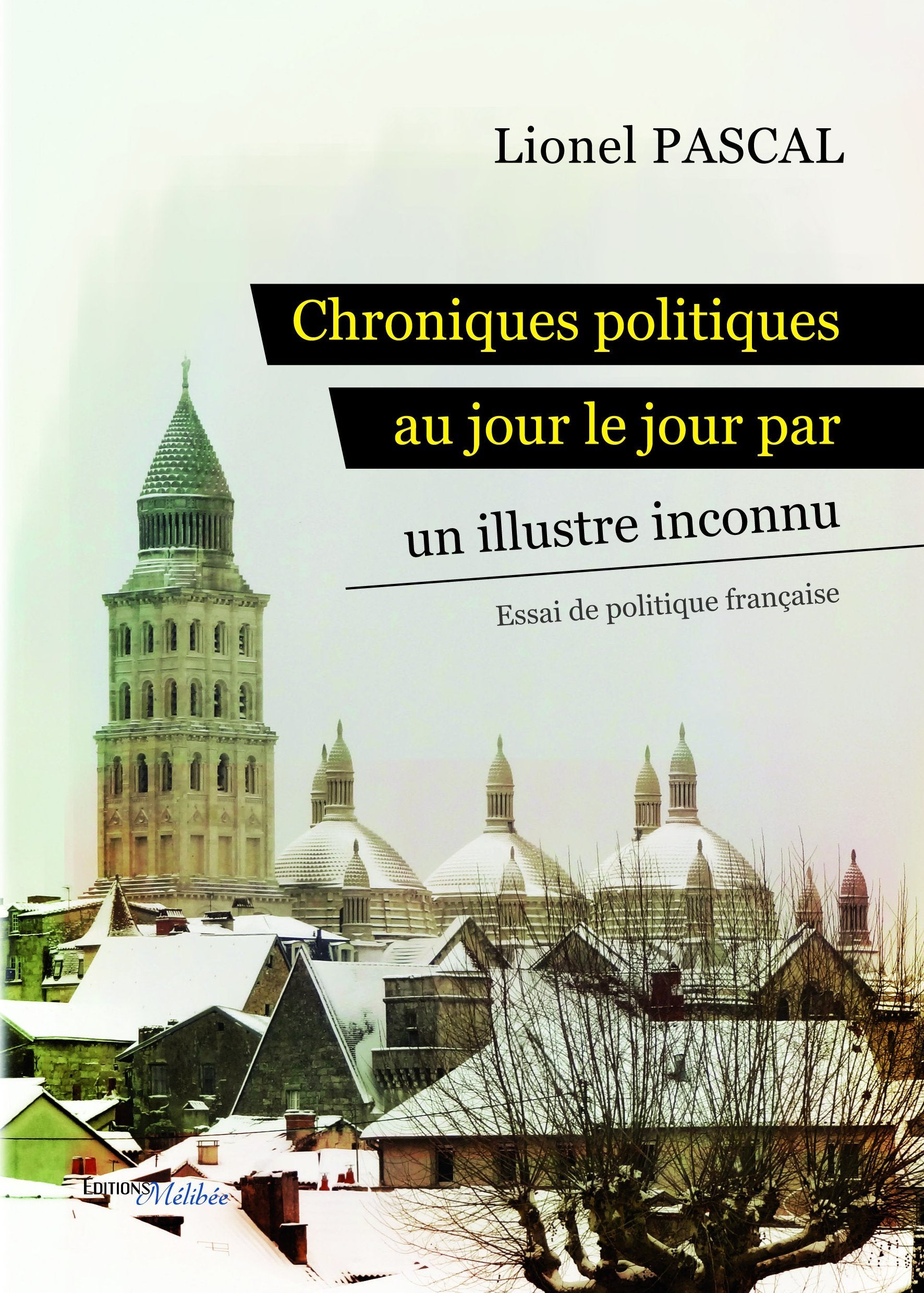 Chroniques politiques au jour le jour par un illustre inconnu book