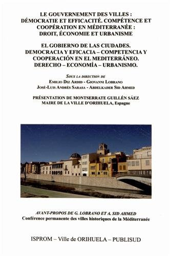 Le gouvernement des villes : Démocratie et efficacité : Compétence et coopération en Méditerranée : Droit, économie et urbanisme book