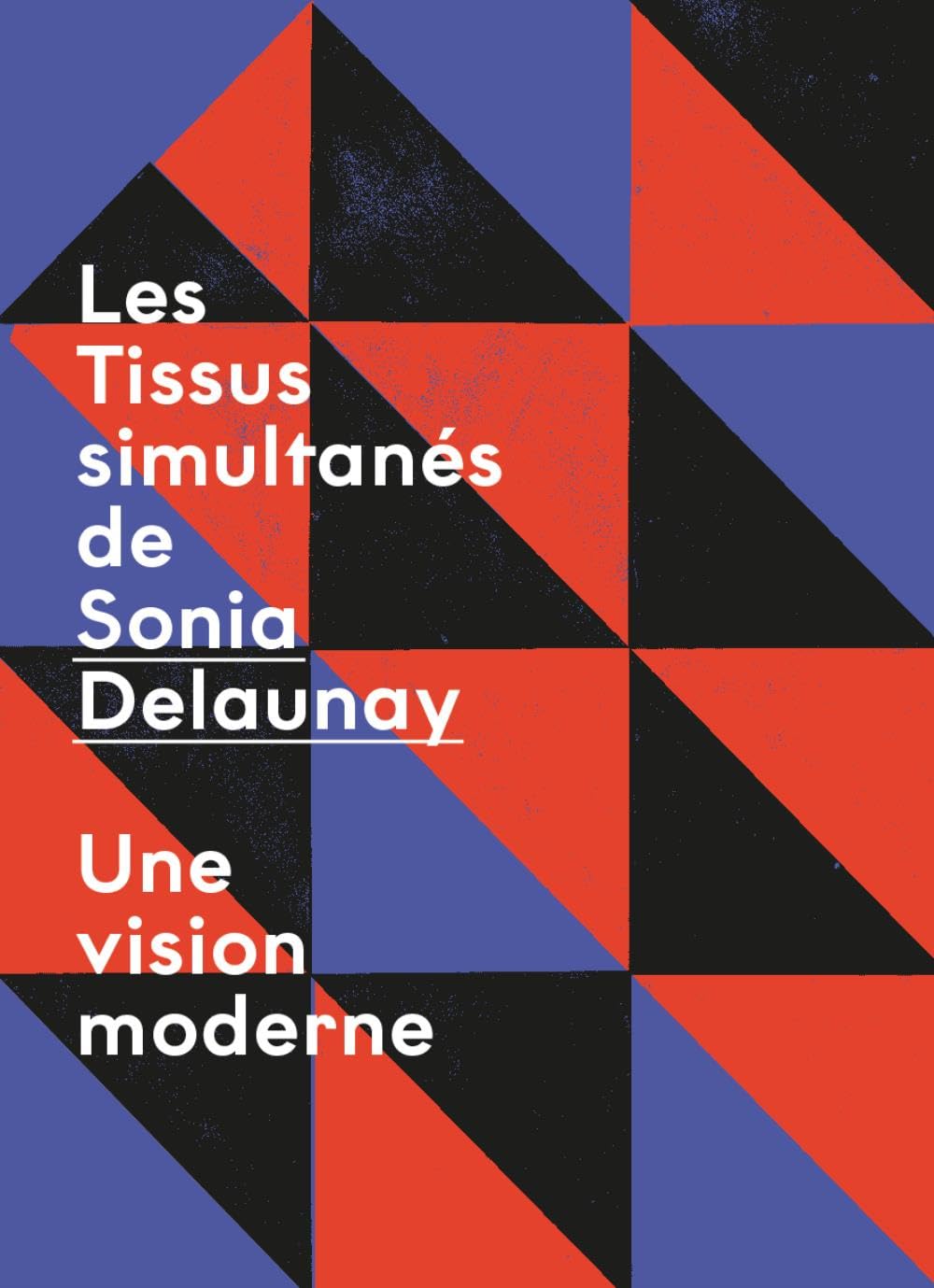 TISSUS SIMULTANÉS DE SONIA DELAUNAY : UNE VISION MODERNE book