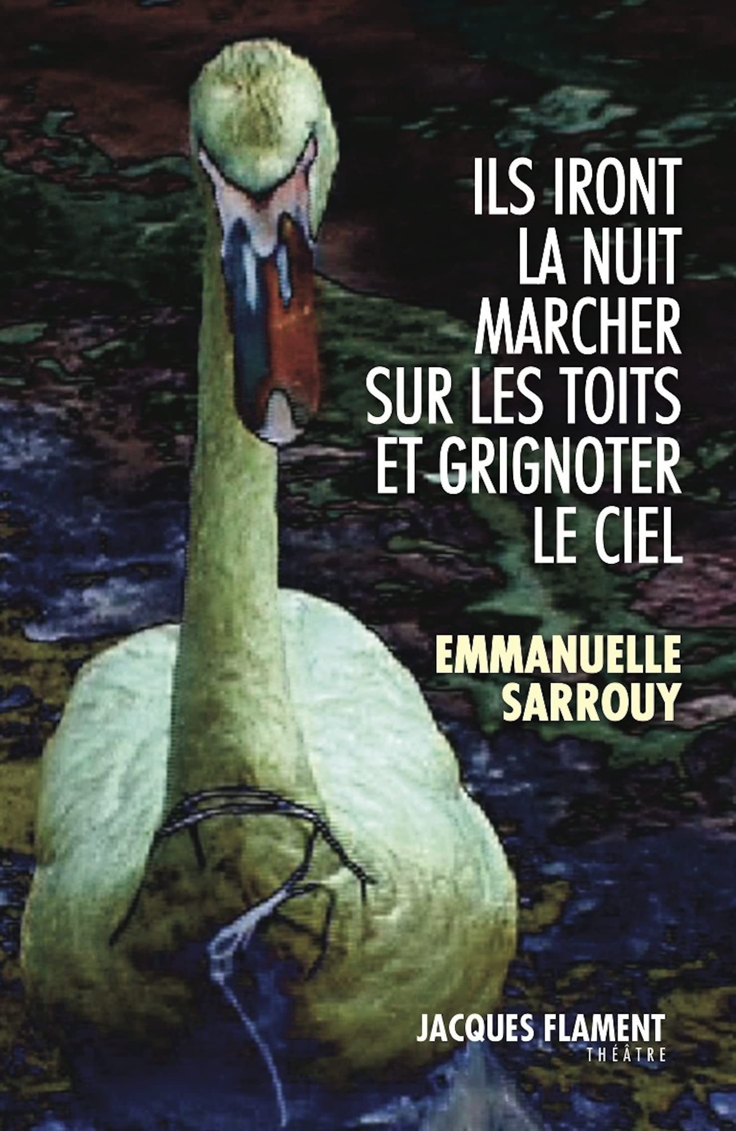 ILS IRONT LA NUIT MARCHER SUR LES TOITS ET GRIGNOTER LE CIEL Books