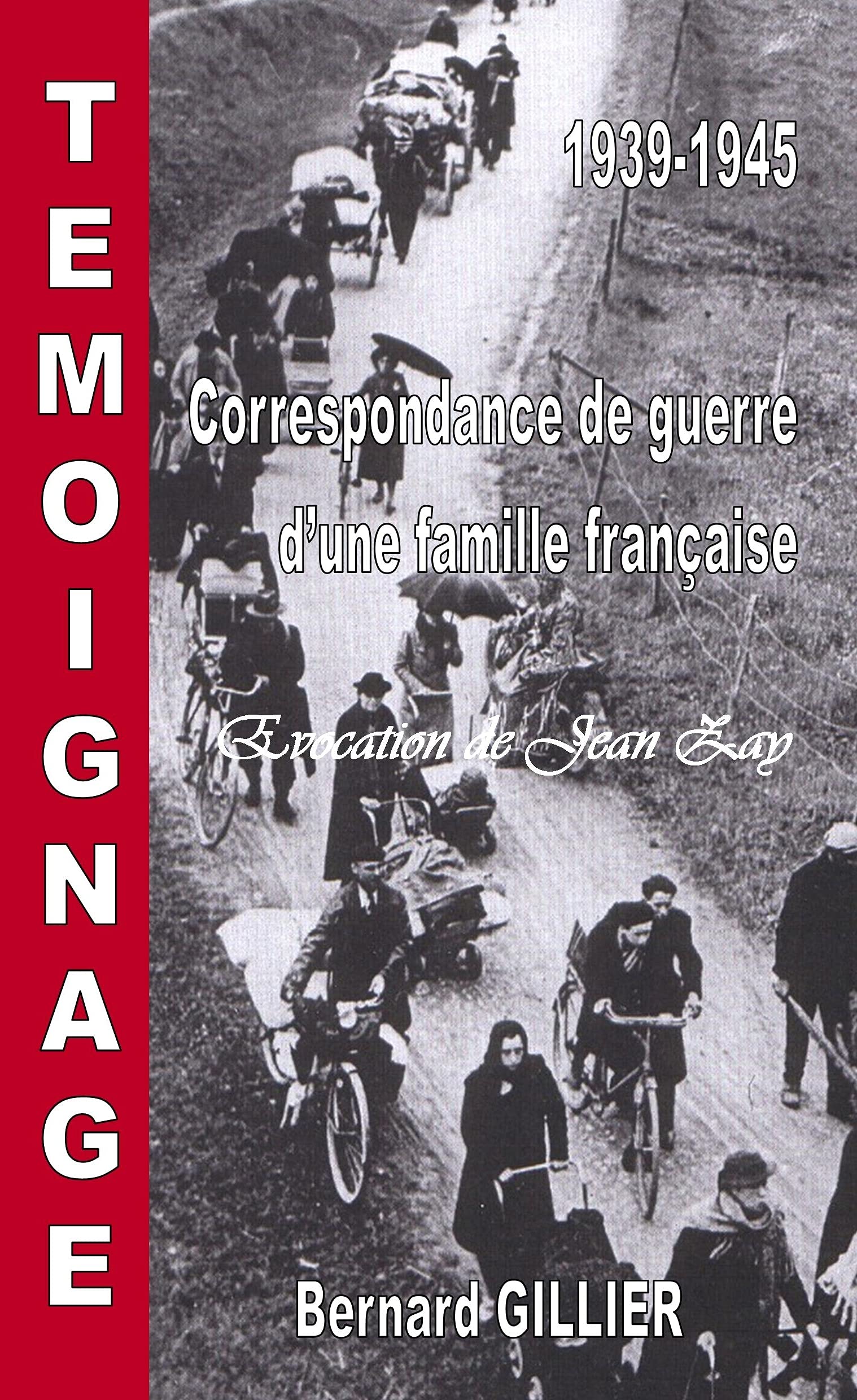 Correspondance de guerre d'une famille française évocation de Jean ZAY book