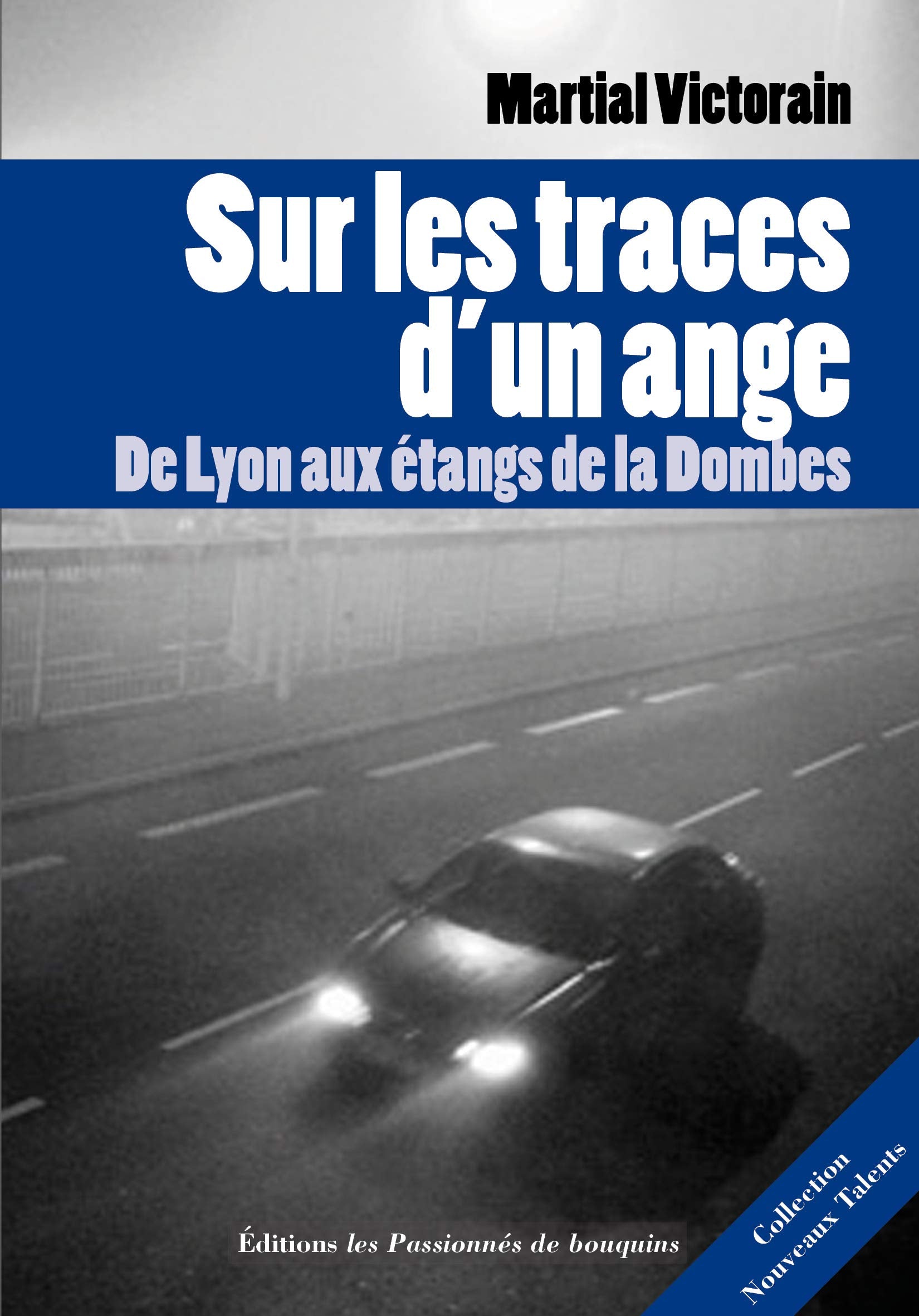 Sur les traces d'un ange: De Lyon aux étangs de la Dombes book