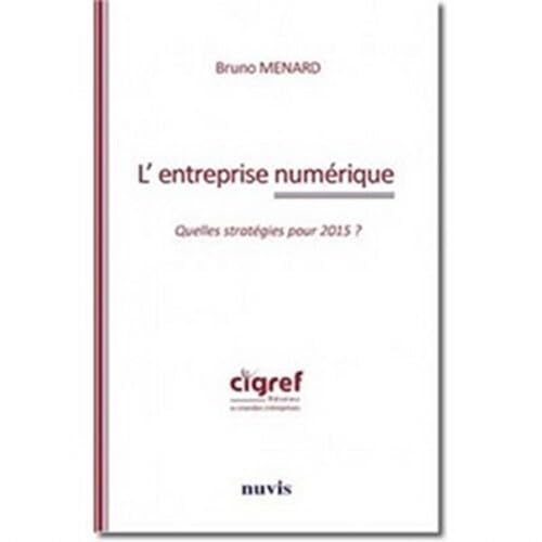 L'entreprise numérique. Quelle stratégies pour 2015?: Quelles stratégies pour 2015 ? Books