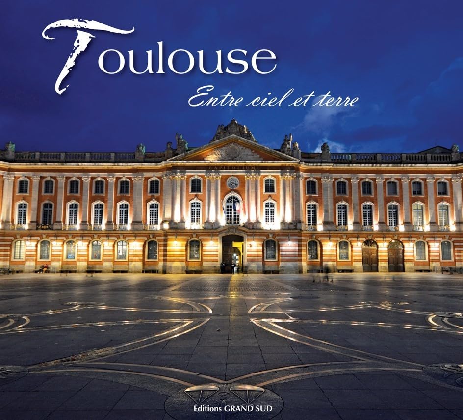 Toulouse: Entre ciel et terre book