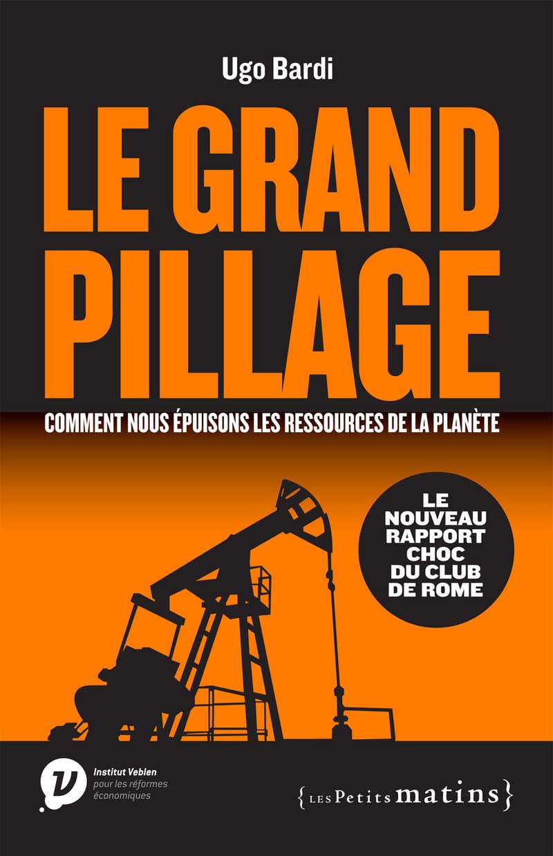 Le Grand pillage : comment nous épuisons les ressources de la planète Business, Finance & Career