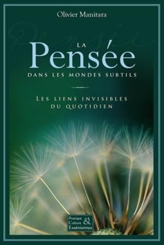 La Pensée dans les mondes subtils - Les liens invisibles du quotidien book