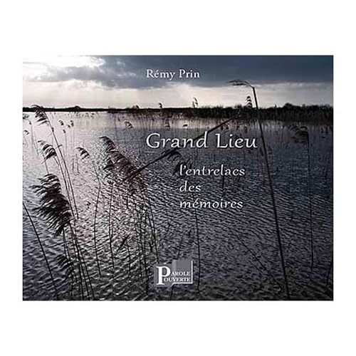 Grand Lieu l'entrelacs des mémoires Books