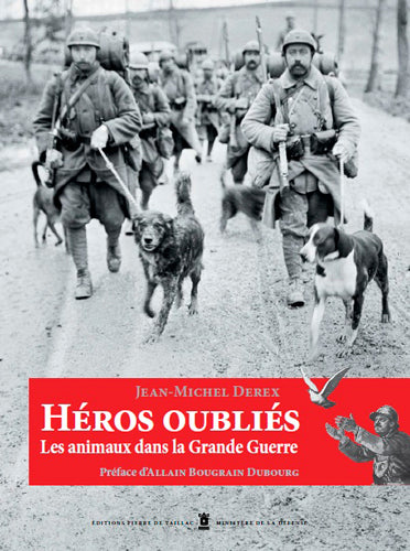 Héros oubliés : les animaux dans la Grande Guerre Children's books