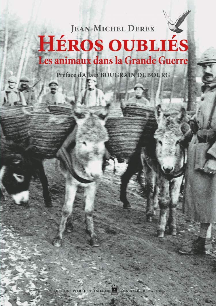 Héros Oubliés - Les Animaux Dans La Grande Guerre Politics & History