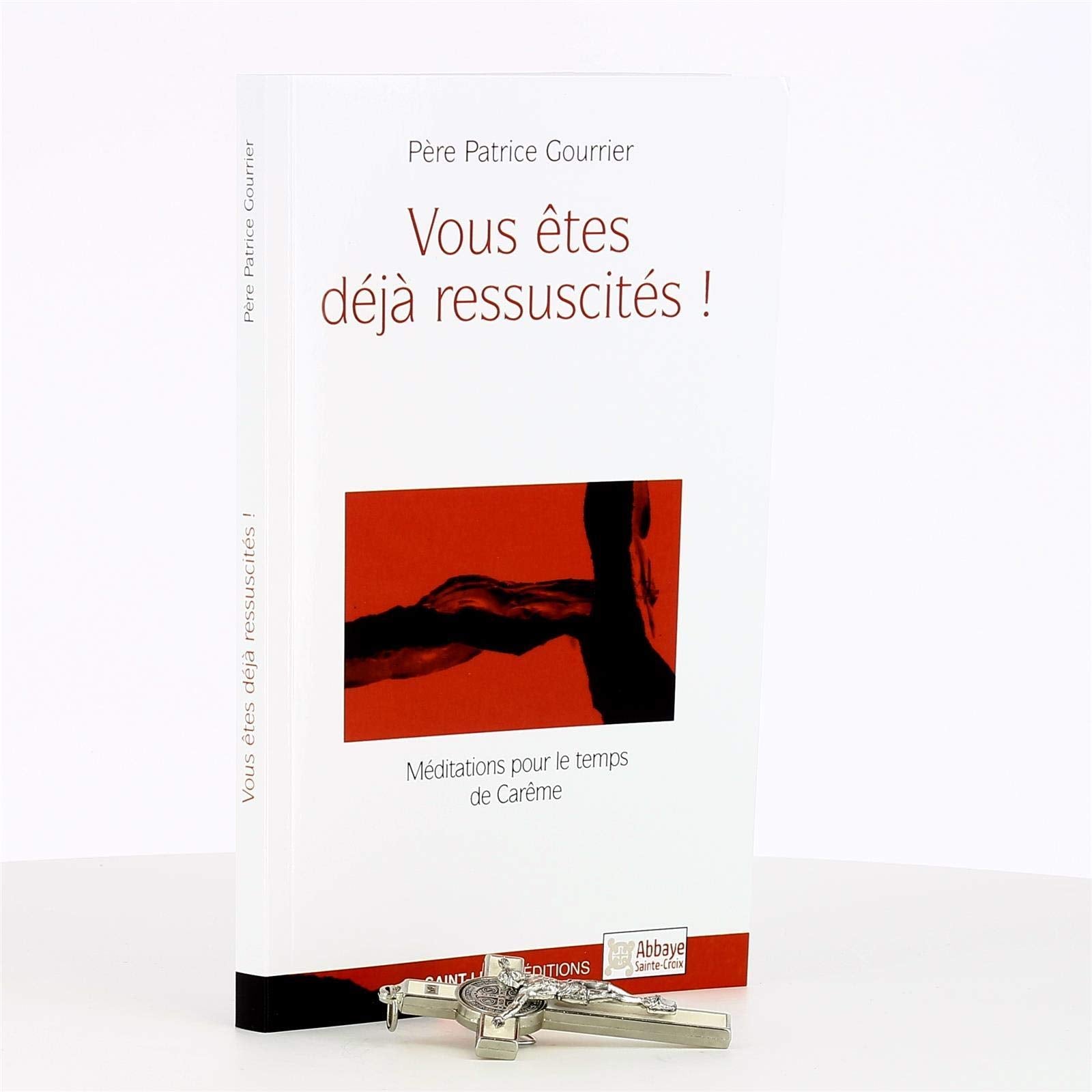 Vous êtes déjà ressuscités ! : Méditations pour le temps de Carême book