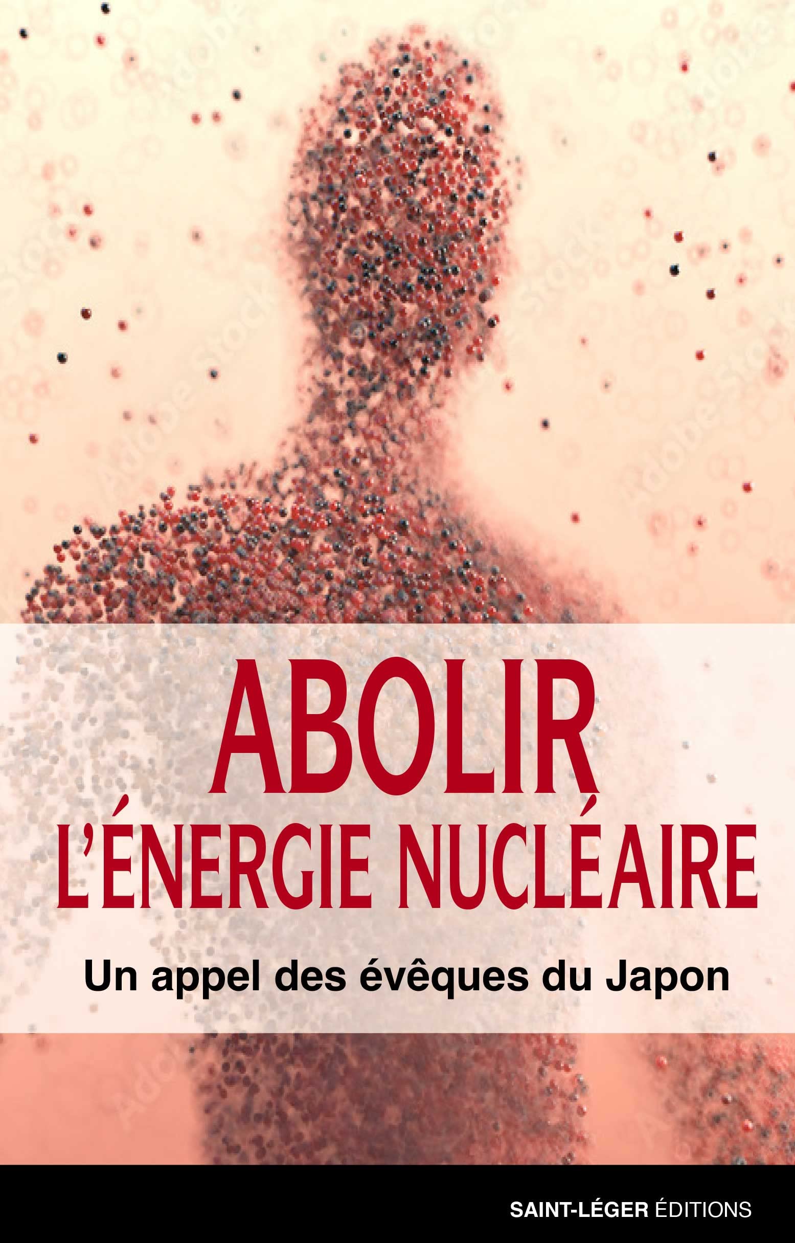 Abolir l’energie nucléaire: Un appel des évêques du Japon book