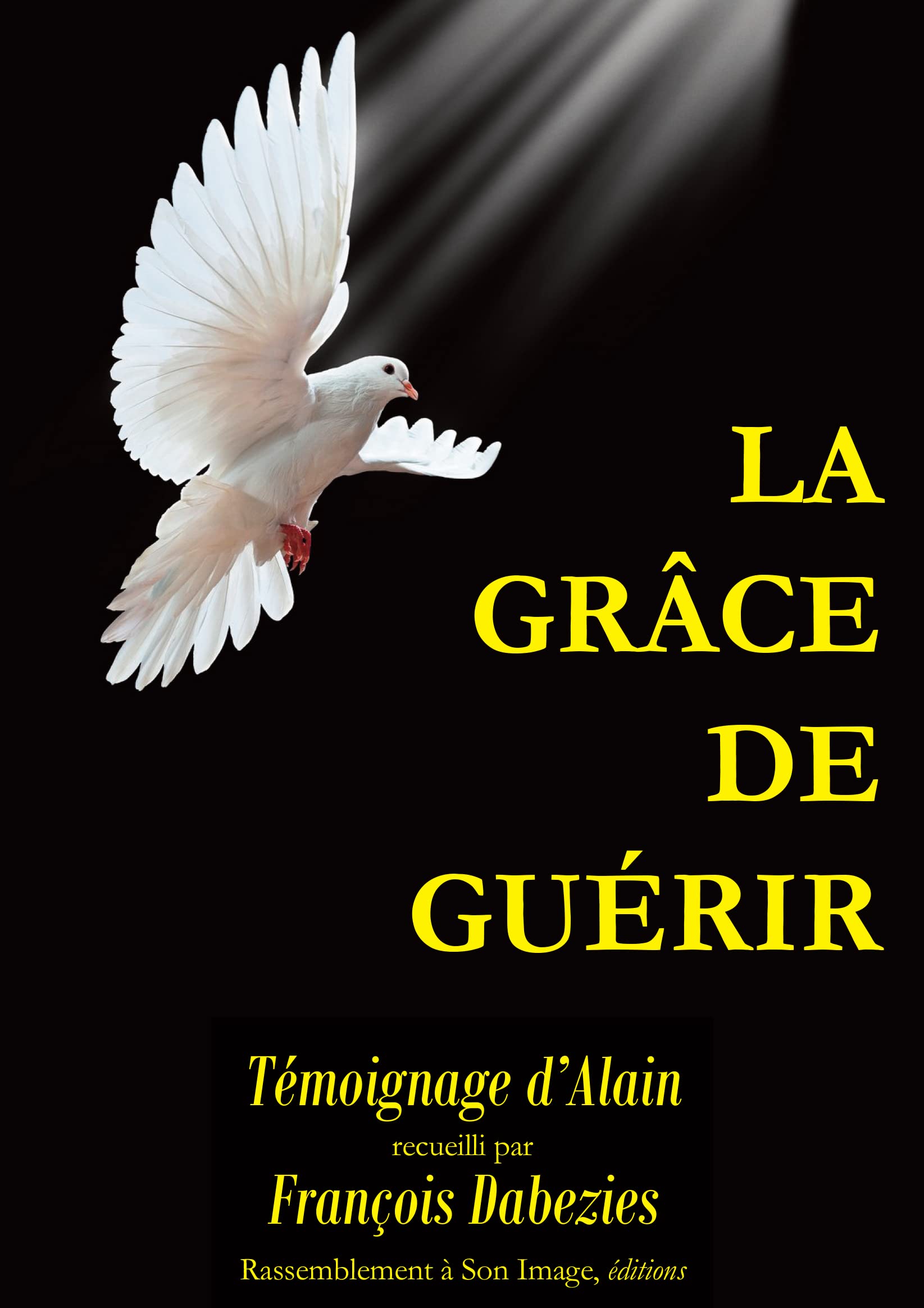 La grâce de guérir - L148 Politics & Society