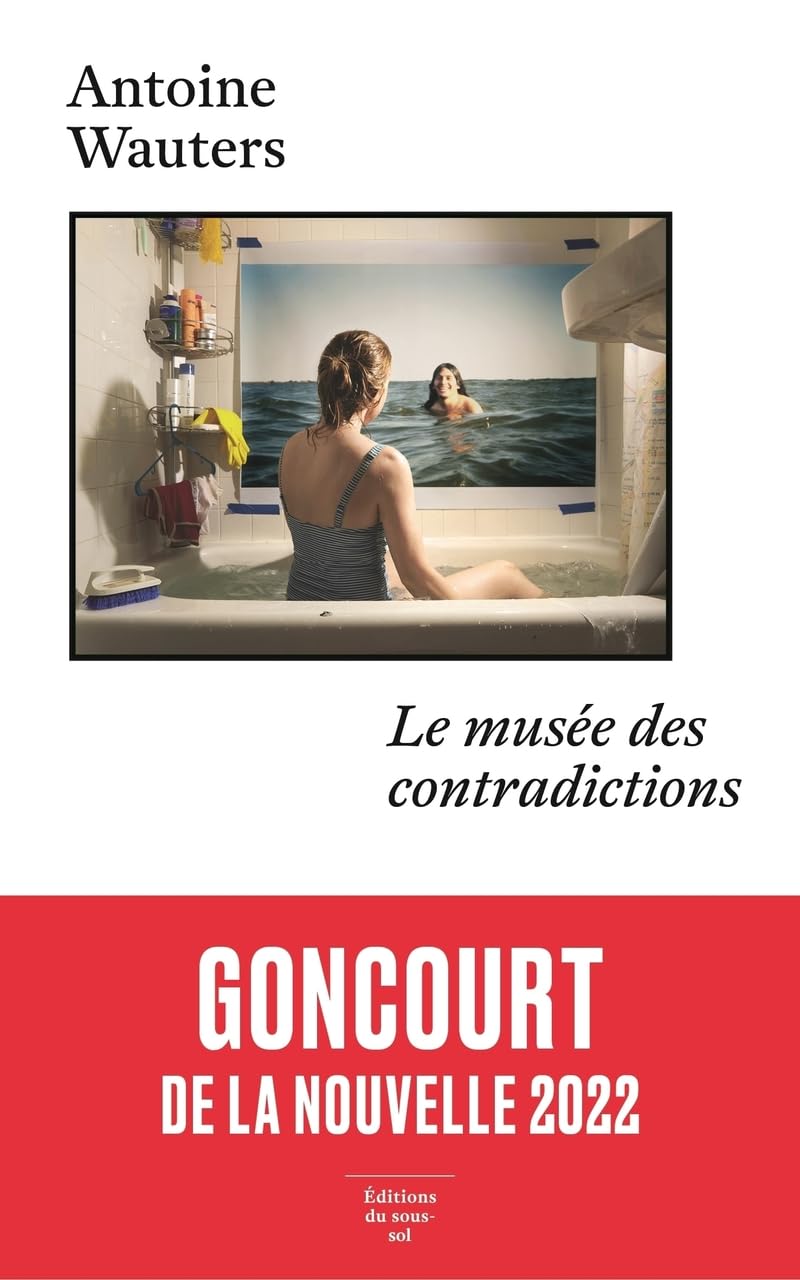 Le Musée des contradictions Contemporary literature