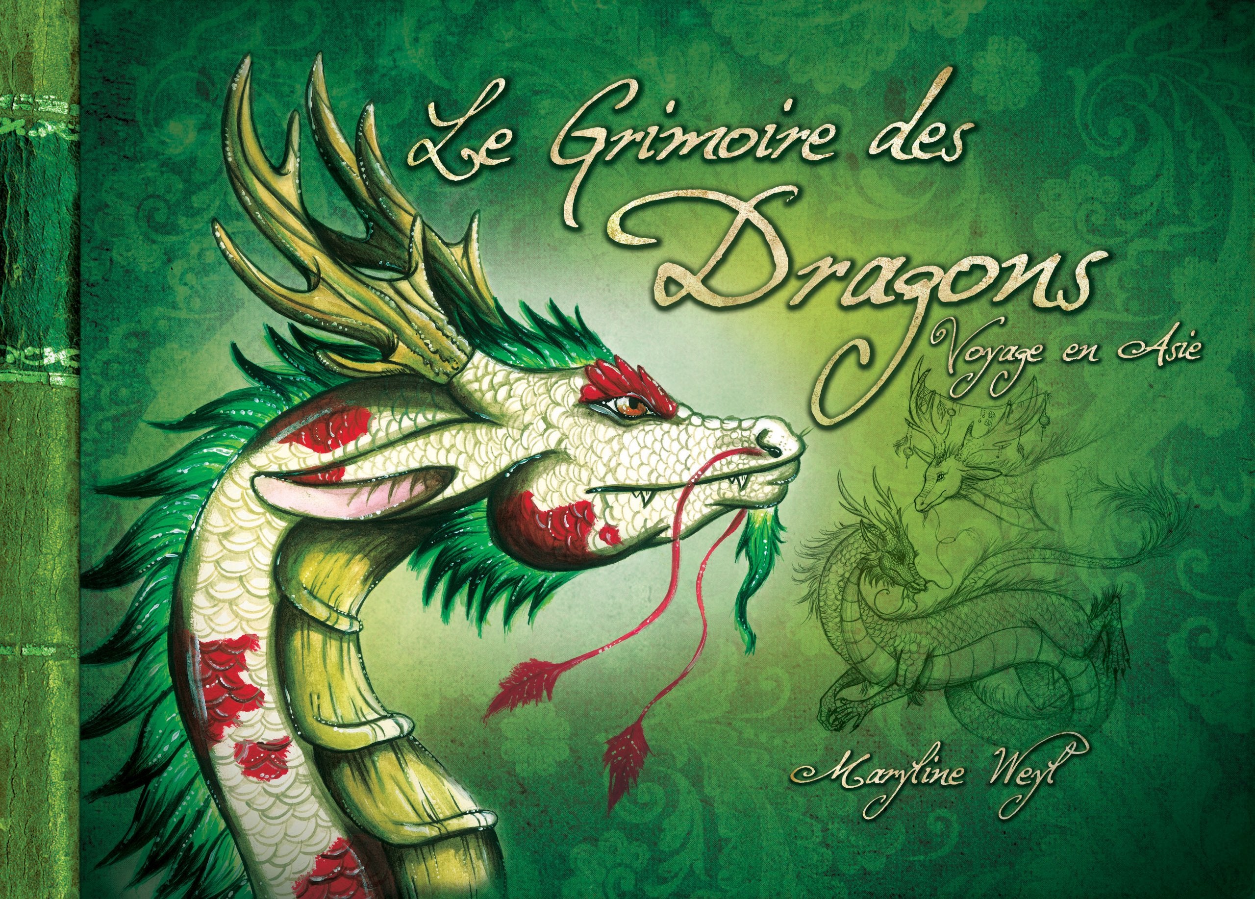 Le grimoire des dragons, voyage en Asie book