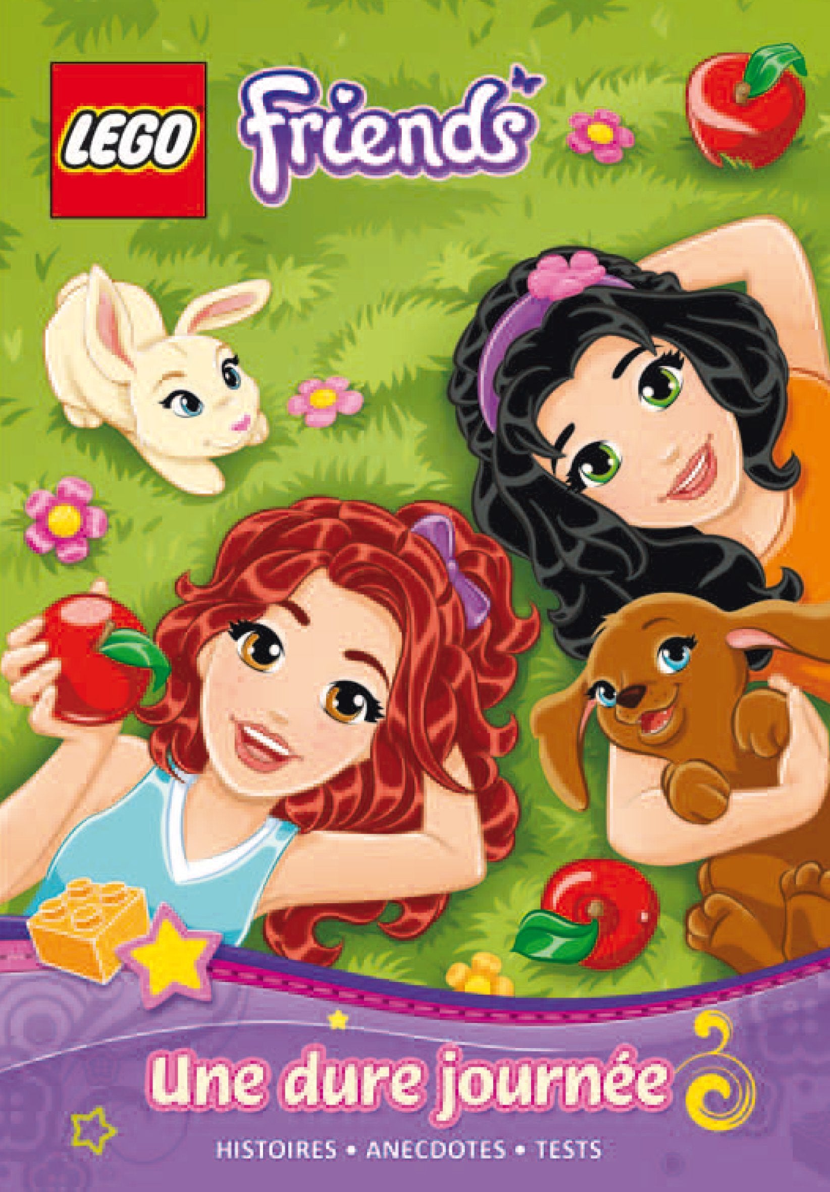 LEGO FRIENDS, ROMAN ILLUSTRE 2 : UNE DURE JOURNEE book