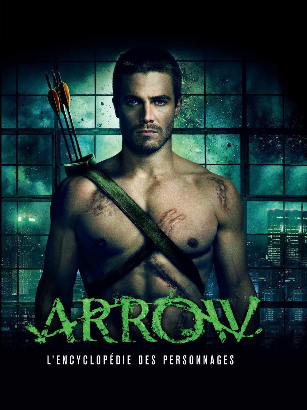 DC COMICS : L'ENCYCLOPEDIE DE LA SERIE ARROW book