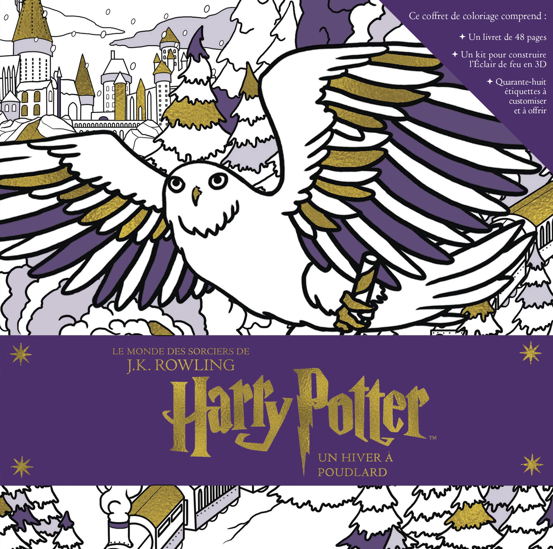 HARRY POTTER, UN HIVER A POUDLARD book