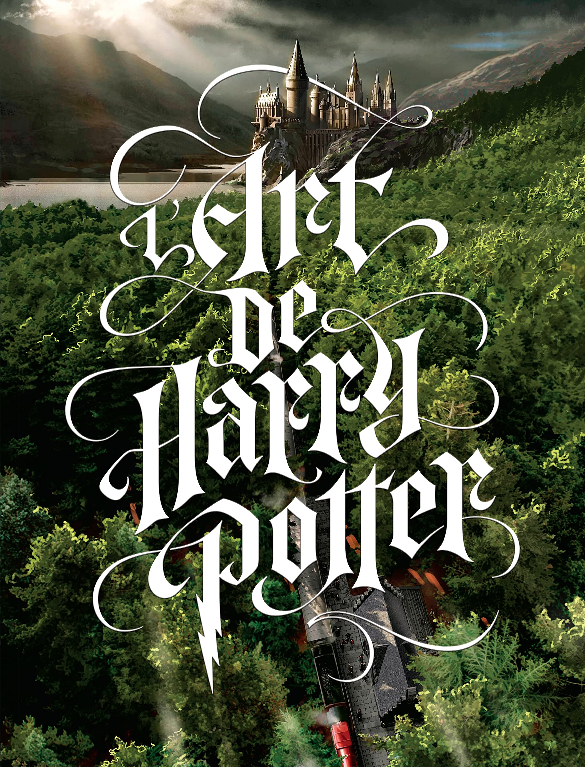 HARRY POTTER, TOUT L'ART DES FILMS book