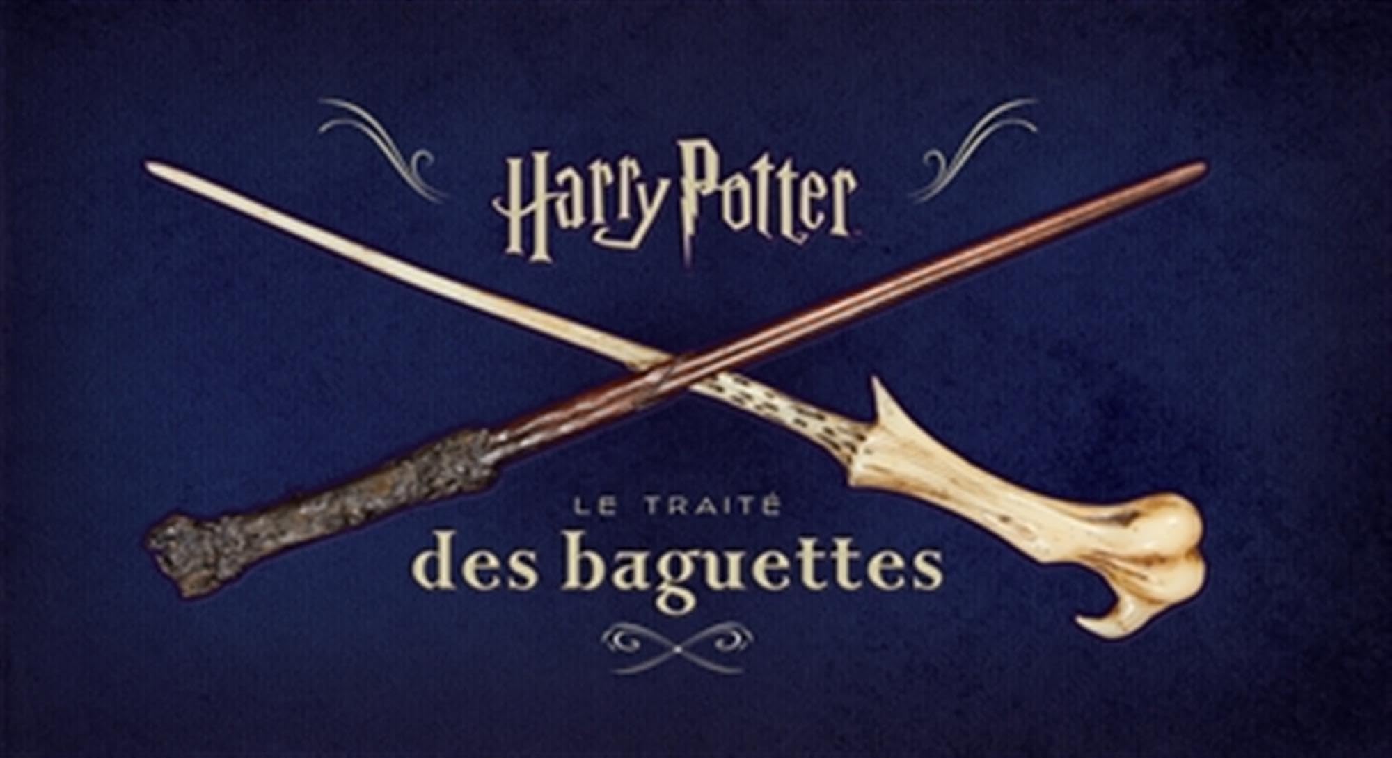 Product Image: HARRY POTTER LE TRAI
