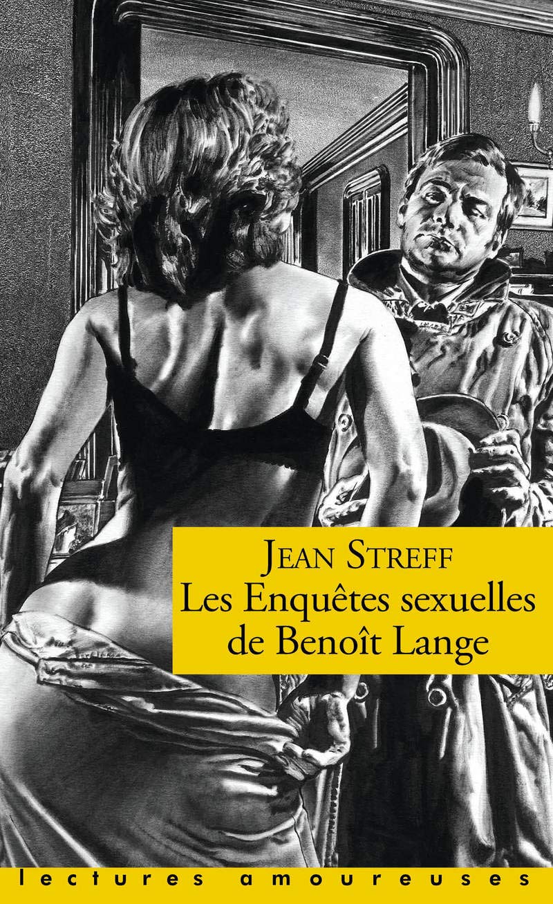 Les Enquêtes sexuelles de Benoît Lange Contemporary literature