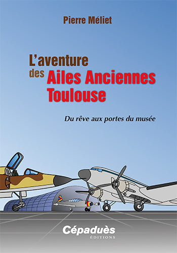 L'aventure des Ailes anciennes Toulouse : du rêve aux portes du musée Leisure & Fun