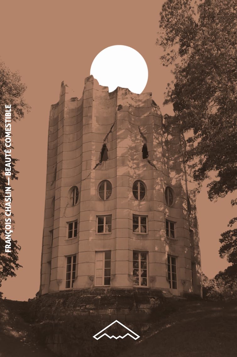 BEAUTÉ COMESTIBLE: Les architectures du pâtissier Carême book