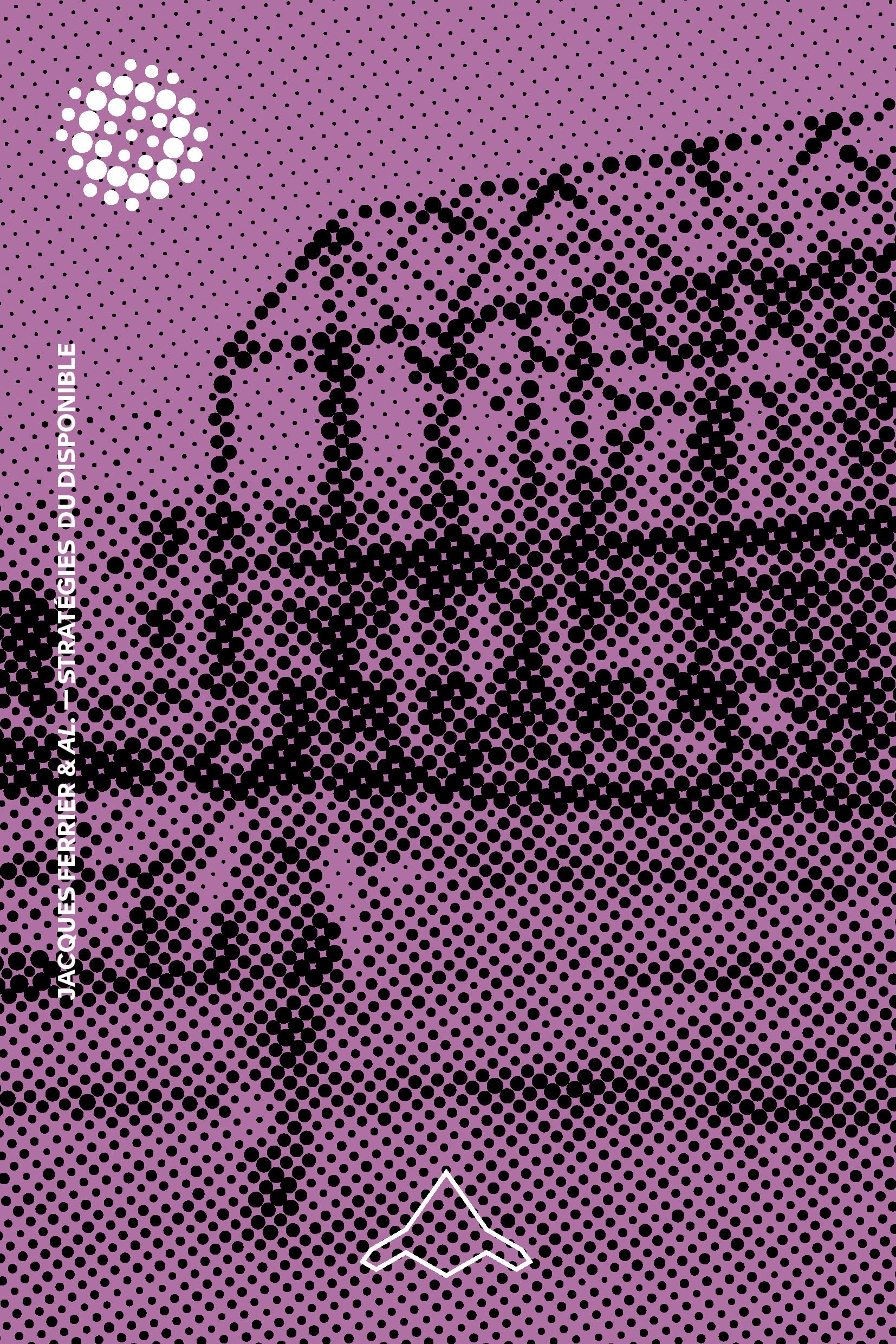 STRATÉGIES DU DISPONIBLE: L'art subtil de l'assemblage book