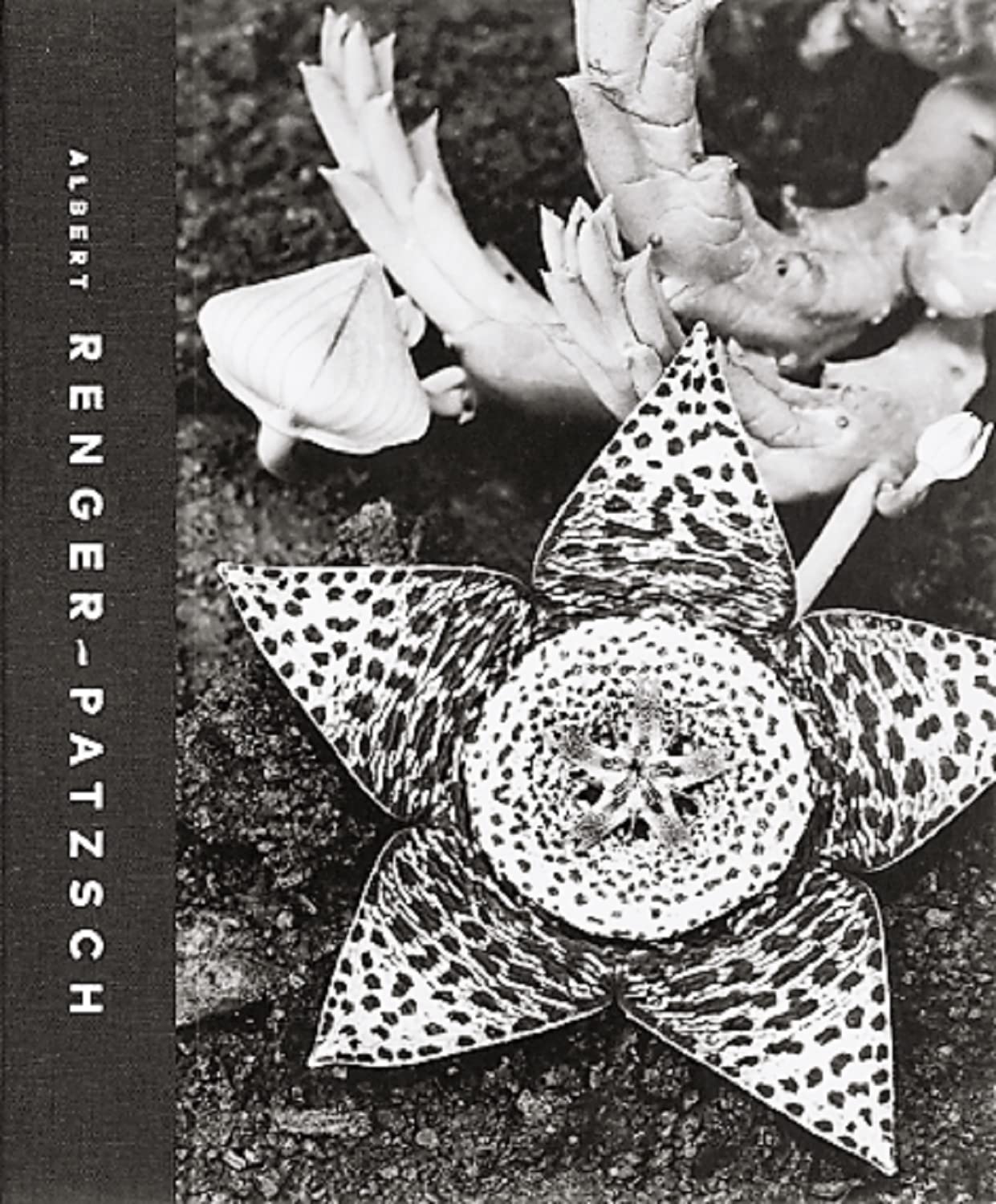 Albert Renger-Patzsch book